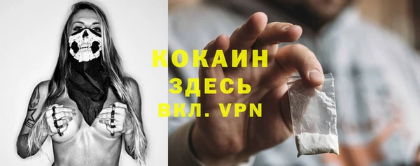 ПСИЛОЦИБИНОВЫЕ ГРИБЫ Каменногорск