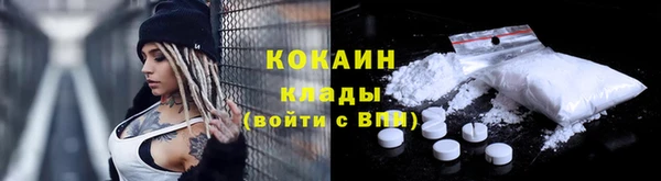 ПСИЛОЦИБИНОВЫЕ ГРИБЫ Каменногорск