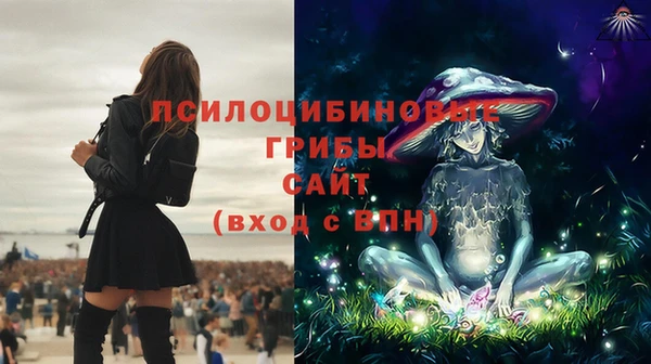 спиды Карталы