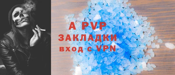 ПСИЛОЦИБИНОВЫЕ ГРИБЫ Каменногорск